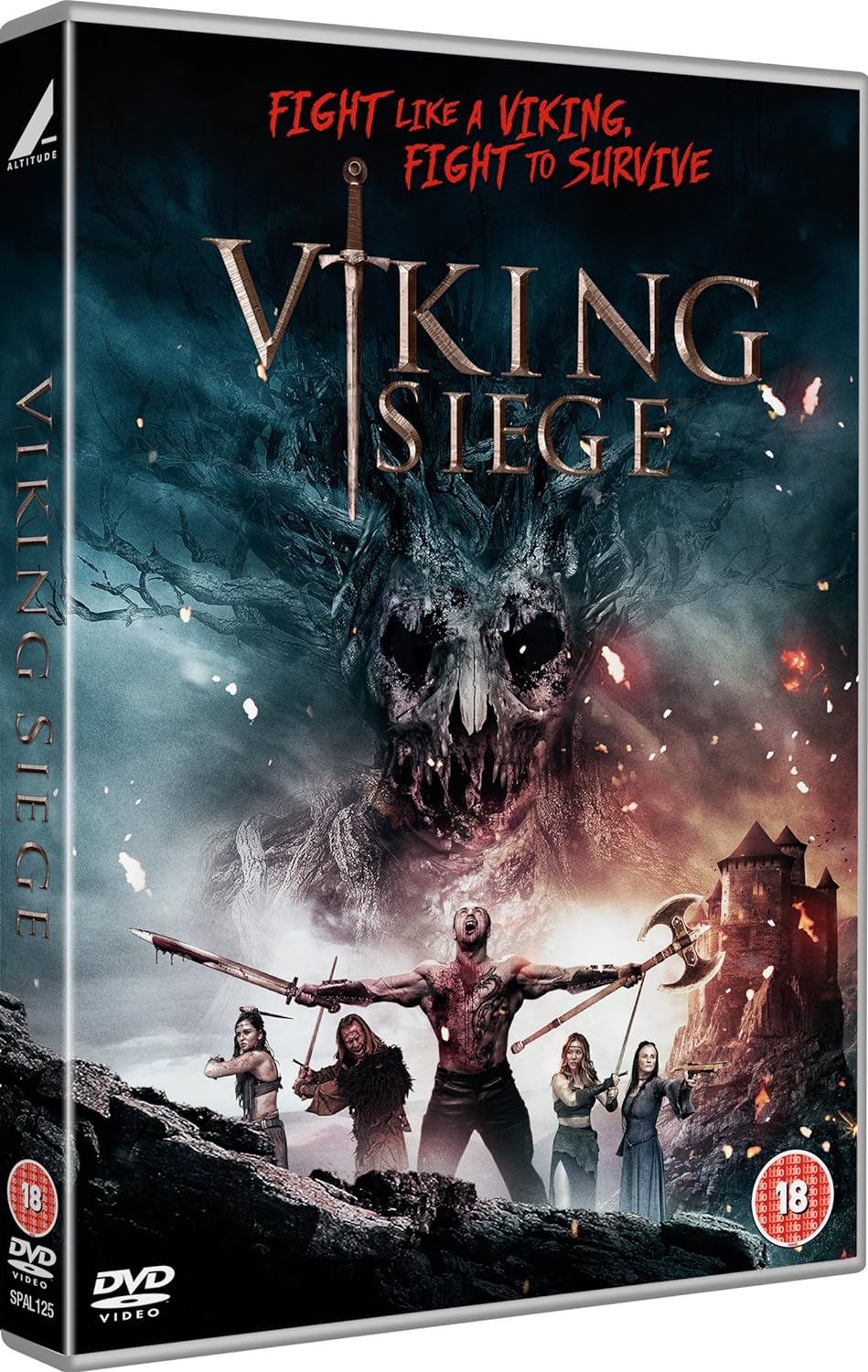 Viking Siege