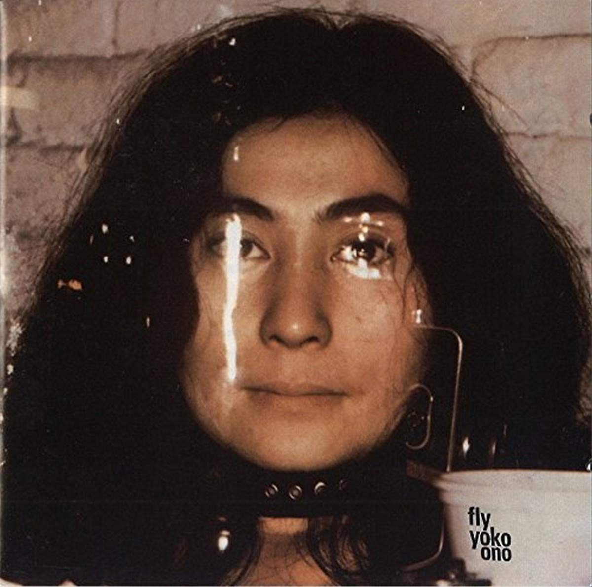 Fly (Bonus Track