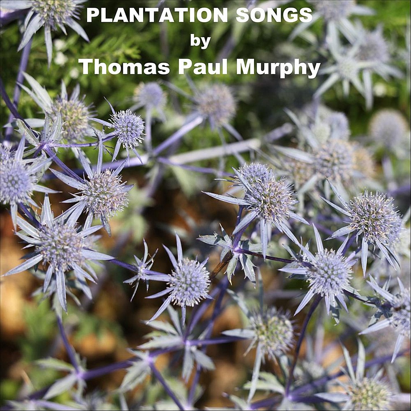 Plantation Songs