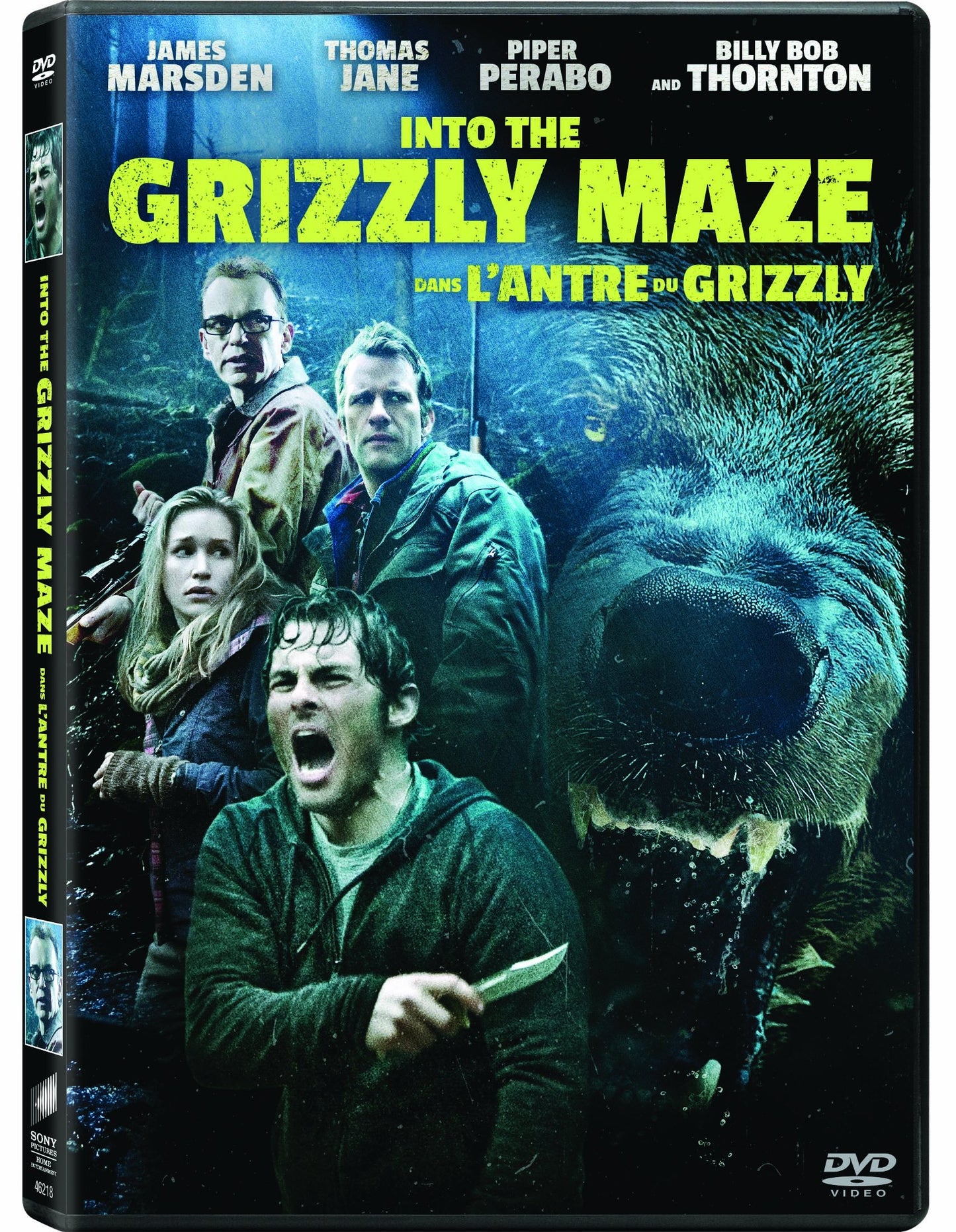 Into The Grizzly Maze
