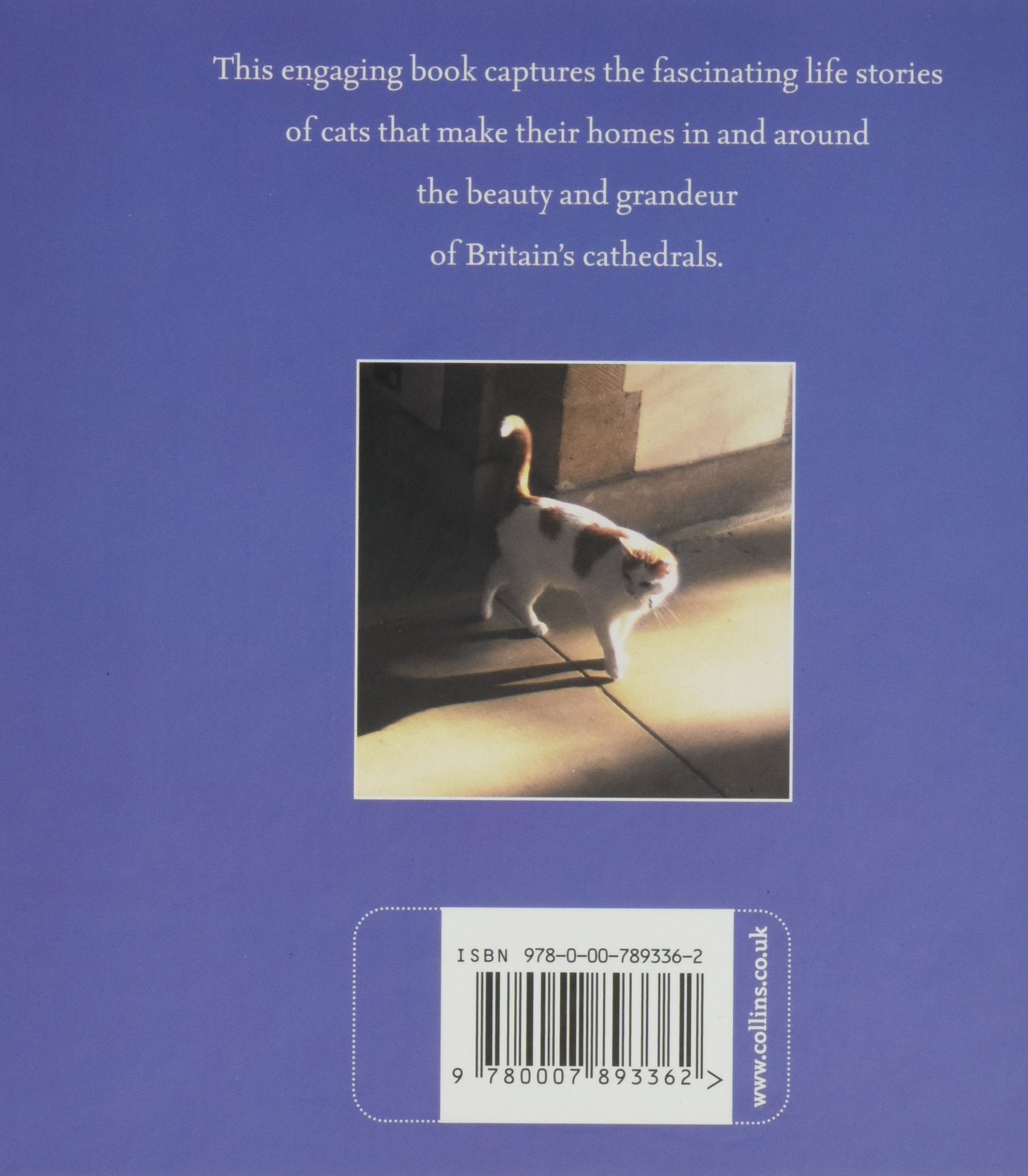 Xcathedral Cats Mini ed Bks