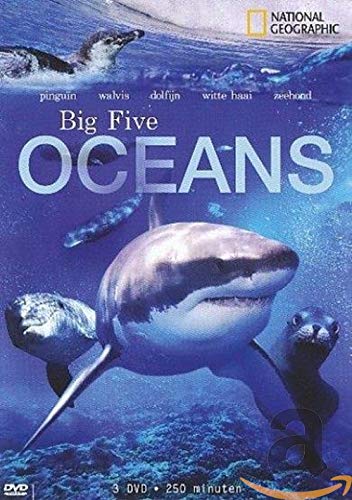 Ng. Big Five Oceans