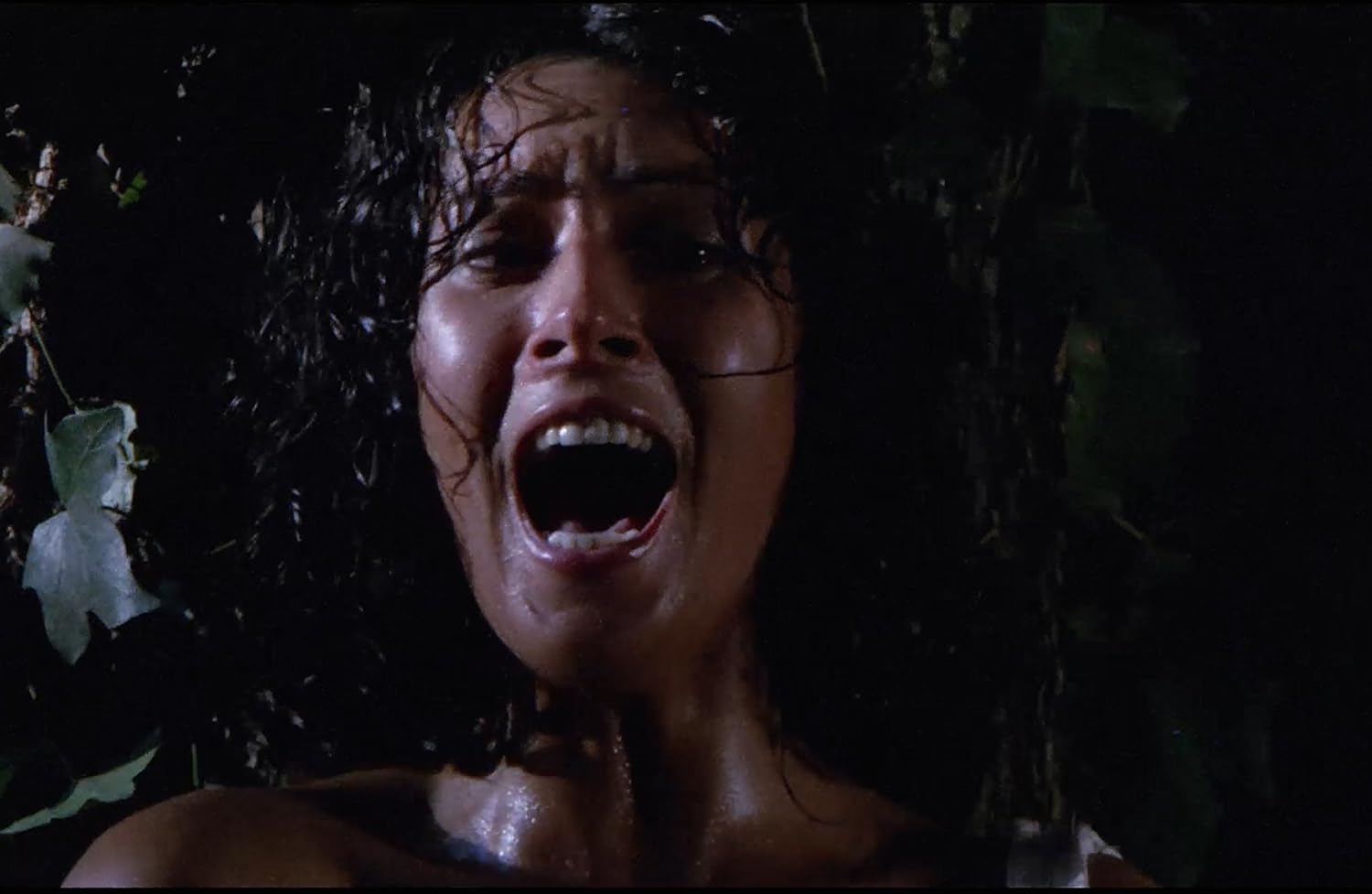 EMANUELLE & LAST CANNIBALS - EMANUELLE & LAST CANNIBALS (1 Blu-ray