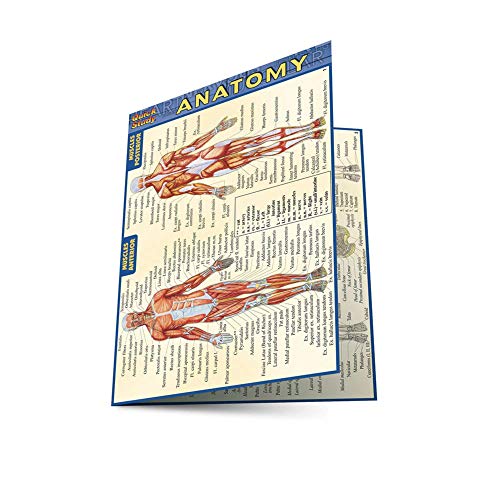 Quickstudy Anatomy - Pckt-Size