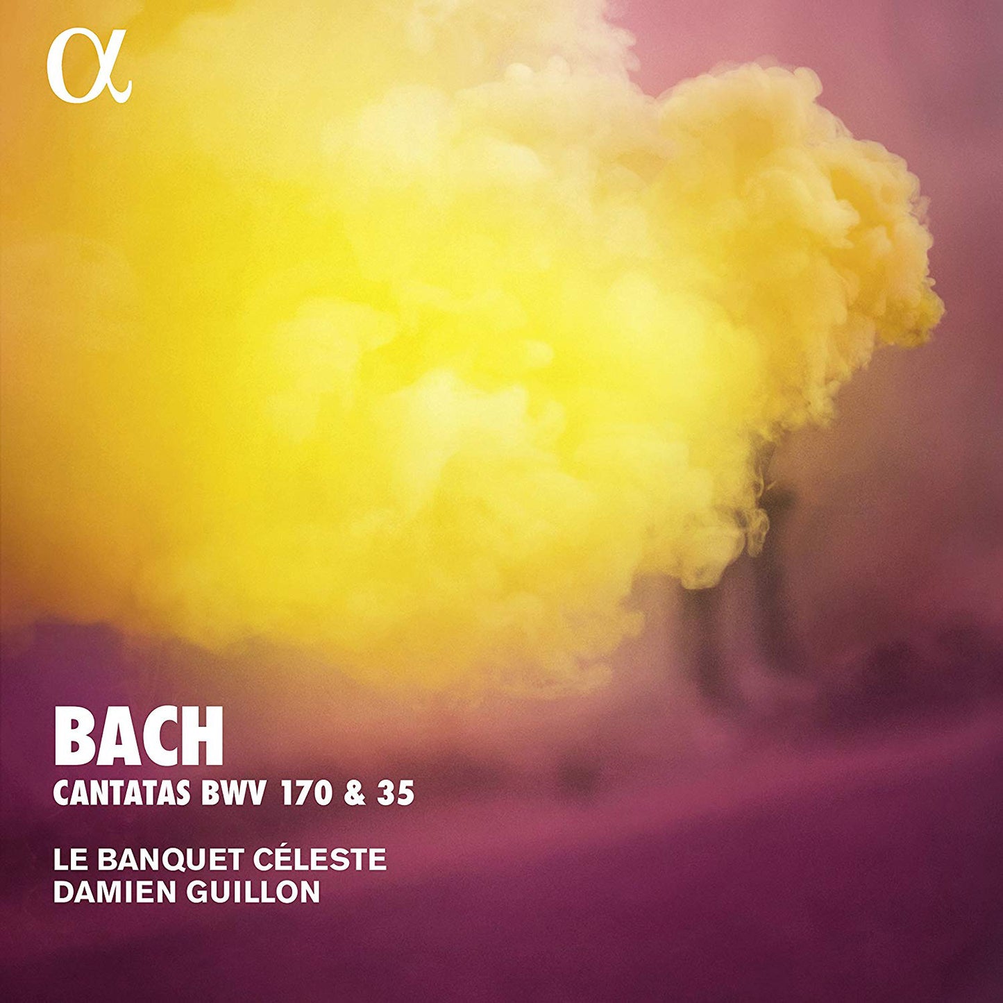 Bach: Cantatas BWV 170 & 35