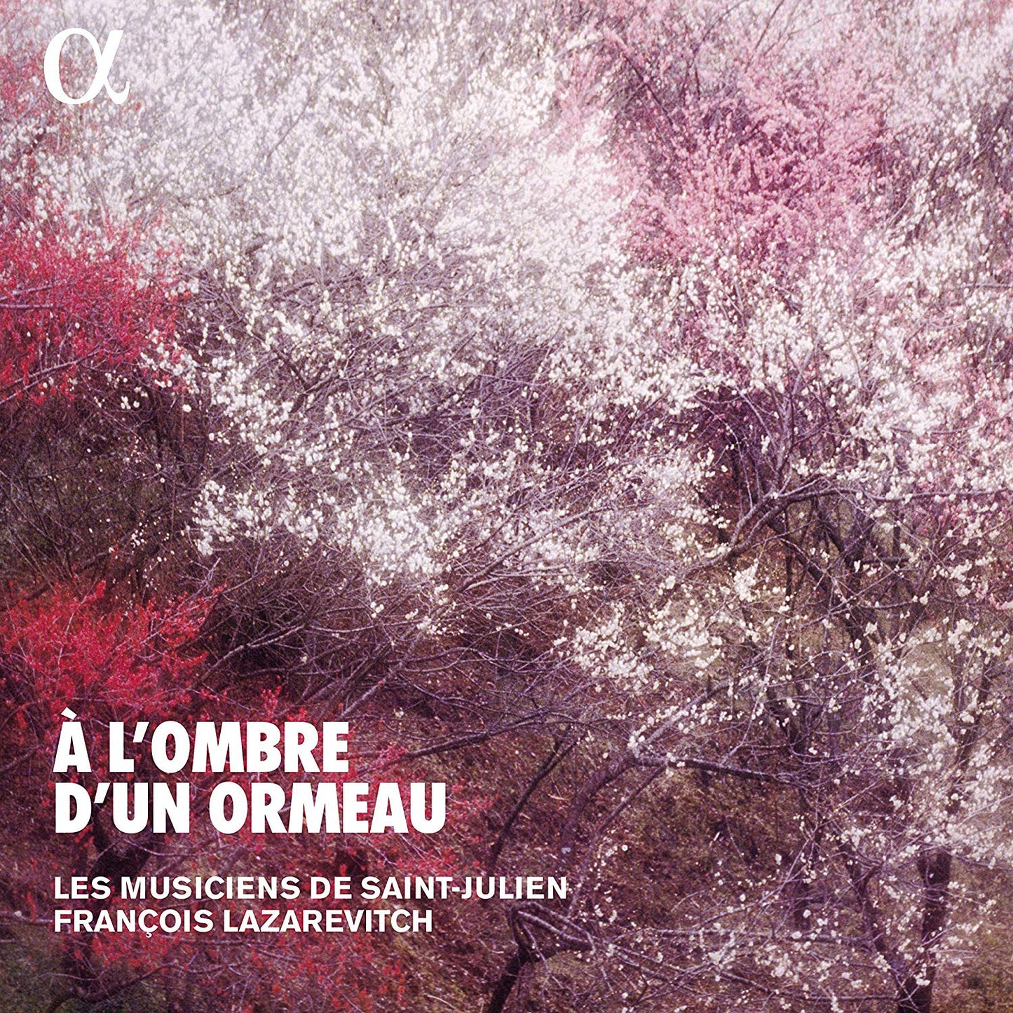 À L'ombre D'un Ormeau