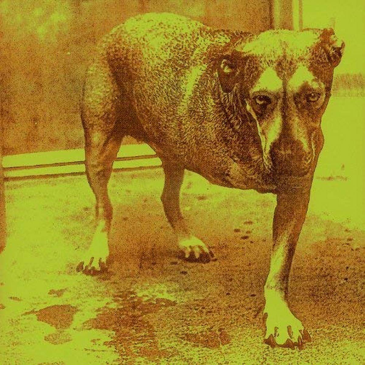 Alice In Chains (Gold Series