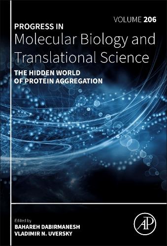 The Hidden World of Protein Aggregation
