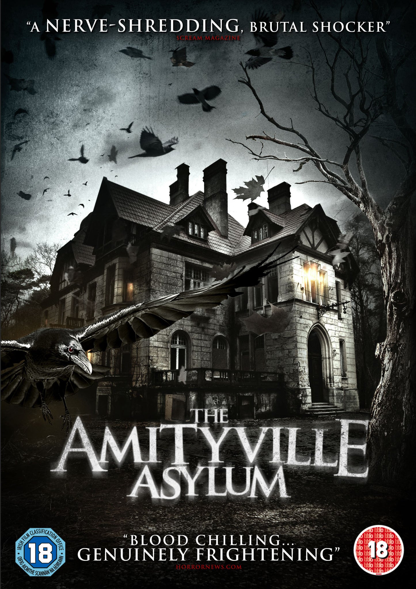 The Amityville Asylum (Import Movie) (European Format - Zone 2)