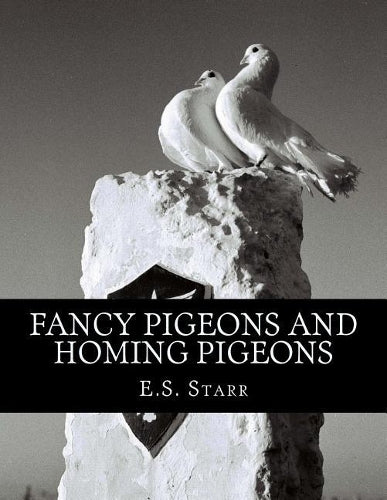 Fancy Pigeons and Homing Pigeons