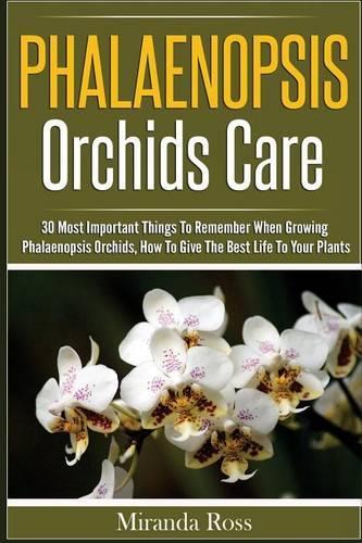 Phalaenopsis Orchids Care