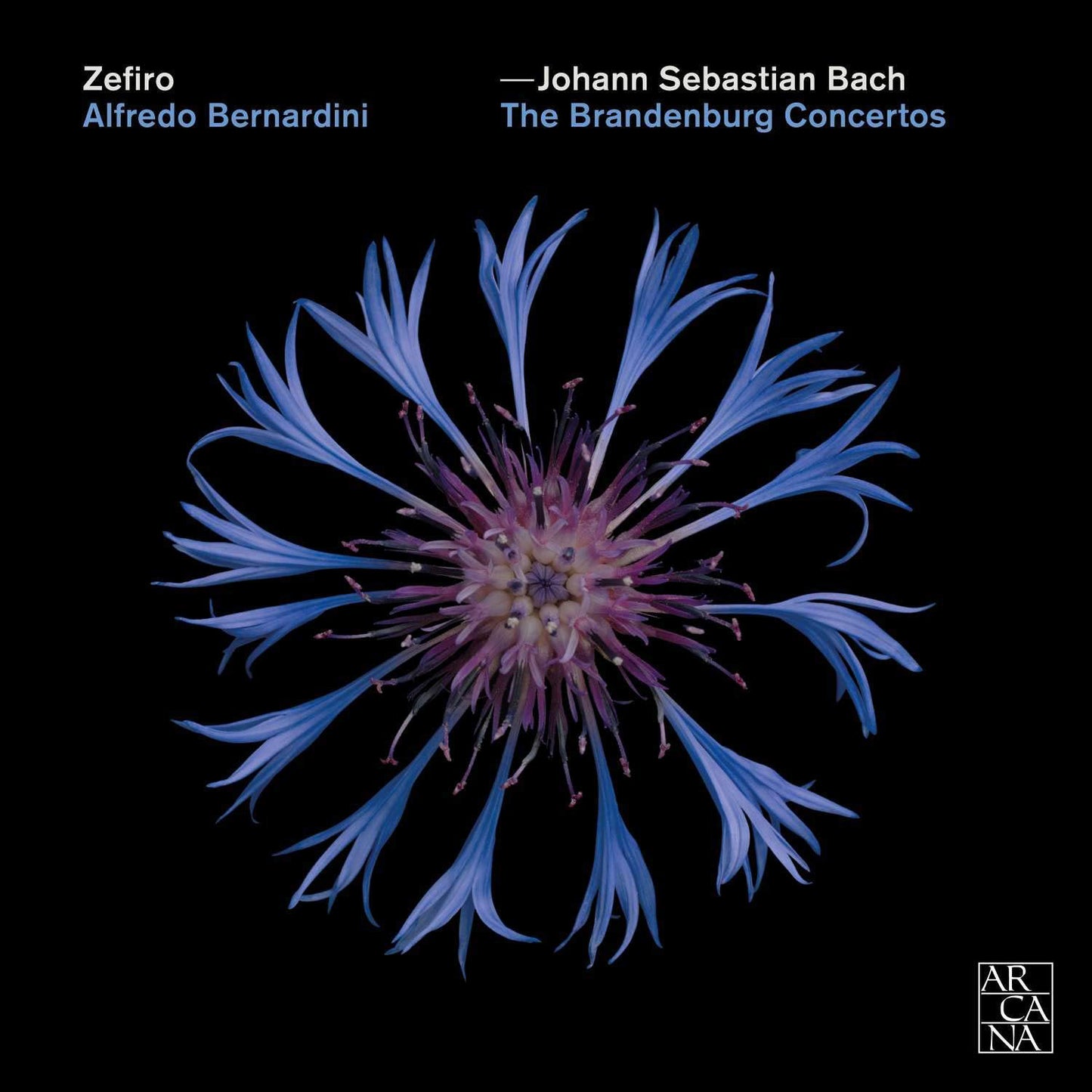Johann Sebastian Bach: The Brandenburg Concertos