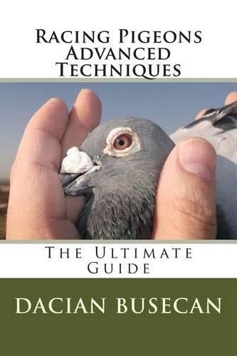 Racing Pigeons Advanced Techniques