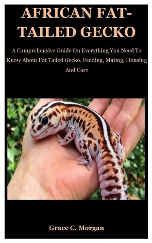 African Fat-Tailed Gecko