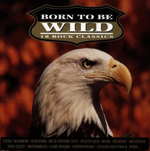 Born to Be Wild 1