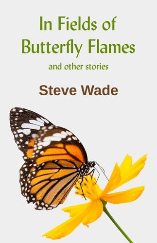 In Fields of Butterfly Flames