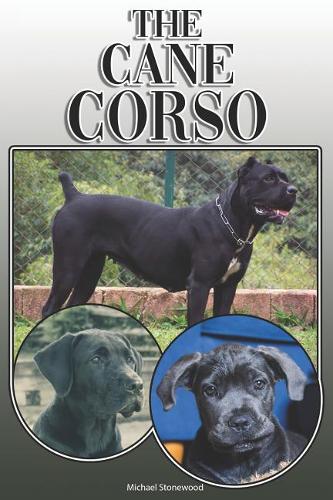 The Cane Corso