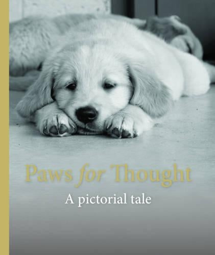 Paws For Thought