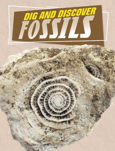 Dig and Discover Fossils (Rock Your World