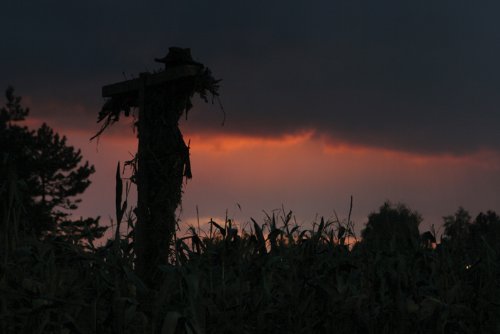 Messengers 2 - The Scarecrow