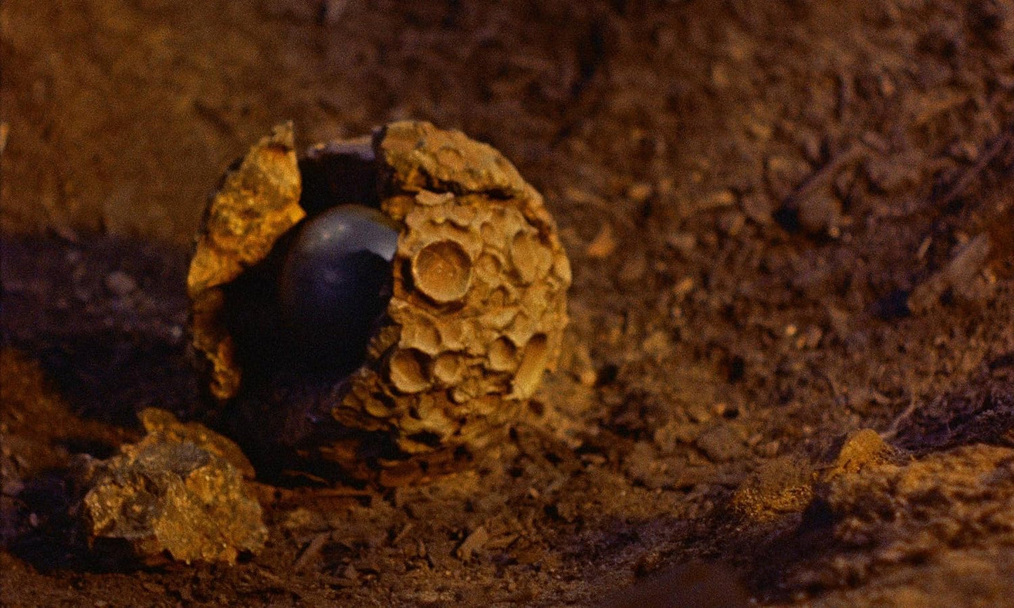 BLOB - Schrecken ohne Namen