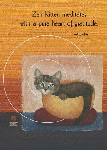 ZEN Kitten Meditates