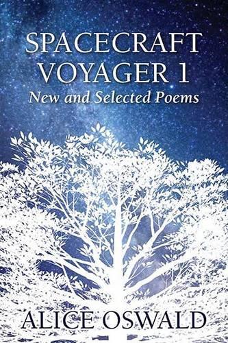 Spacecraftt Voyager 1