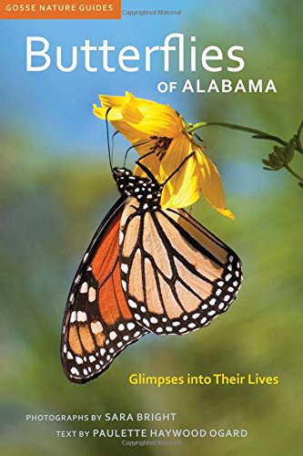 Butterflies Of Alabama