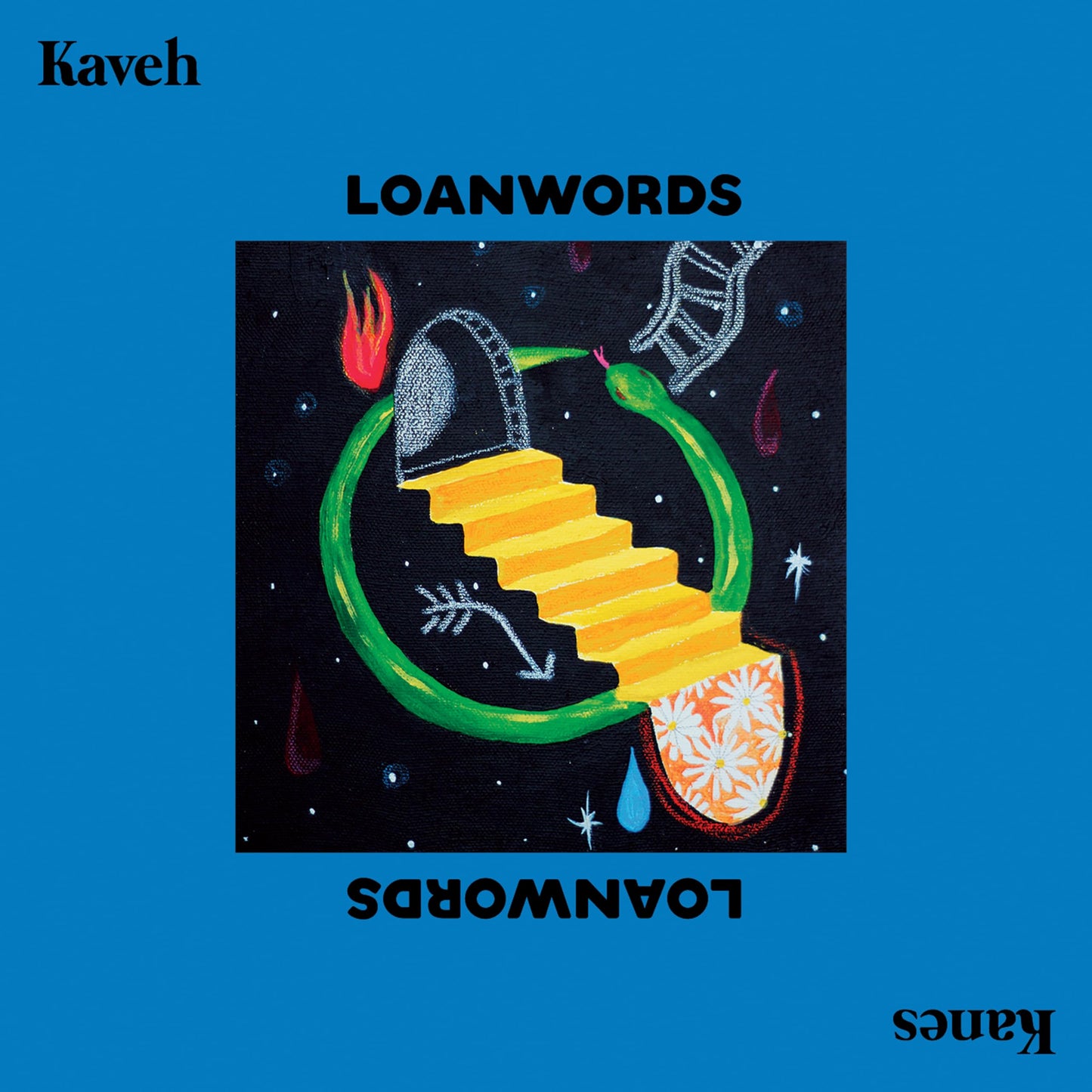 Loanwords