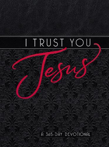 I Trust You Jesus