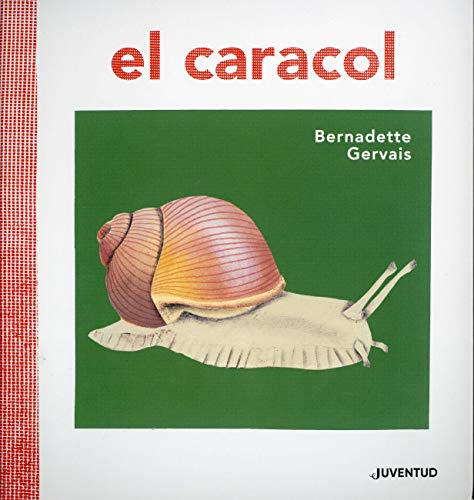 Spa-Caracol