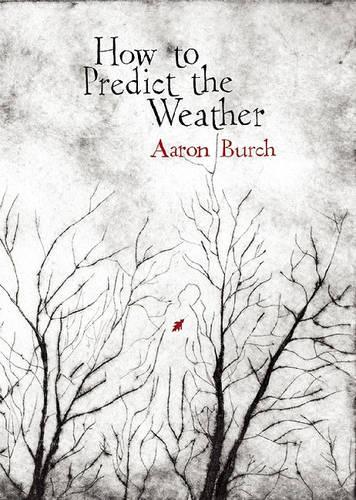 How to Predict the Weather