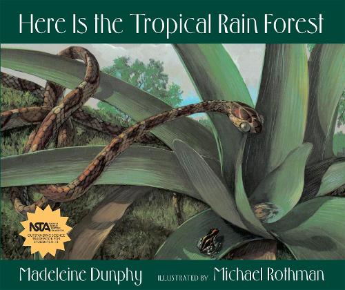 Here Is the Tropical Rain Forest: 1 (Web of Life, 1