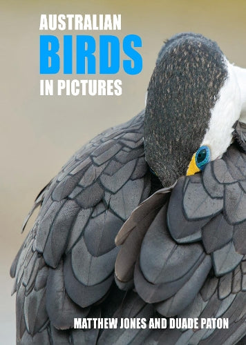 Australian Birds in Pictures (Compact Edition