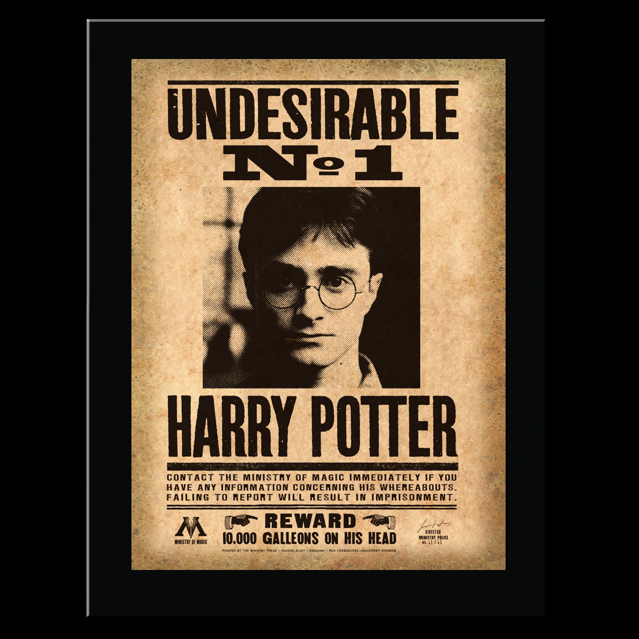 Last level-Harry Potter Undesirable Nº1 Picture 22X31X1.7 Cm Accesorios, Estampado de Letras, Multicolor, 13L x 8.5W (NOB0023