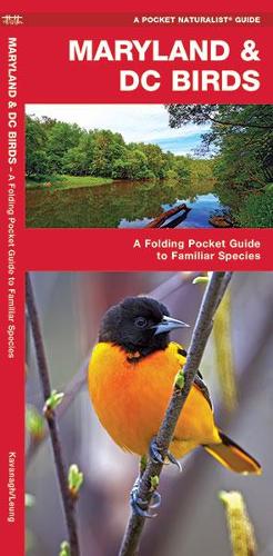 Maryland & DC Birds
