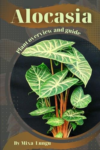 Alocasia