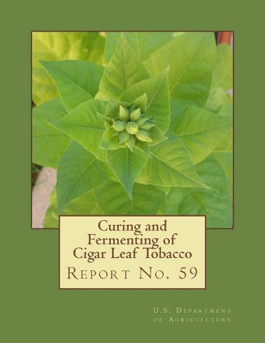 Curing and Fermenting of Cigar Leaf Tobacco