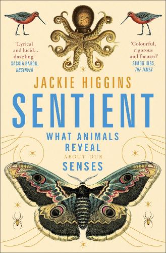 Sentient
