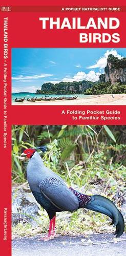 Thailand Birds