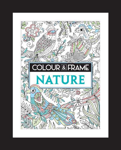 Colour and Frame