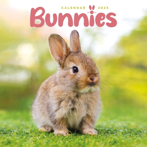 2025 Bunnies Mini