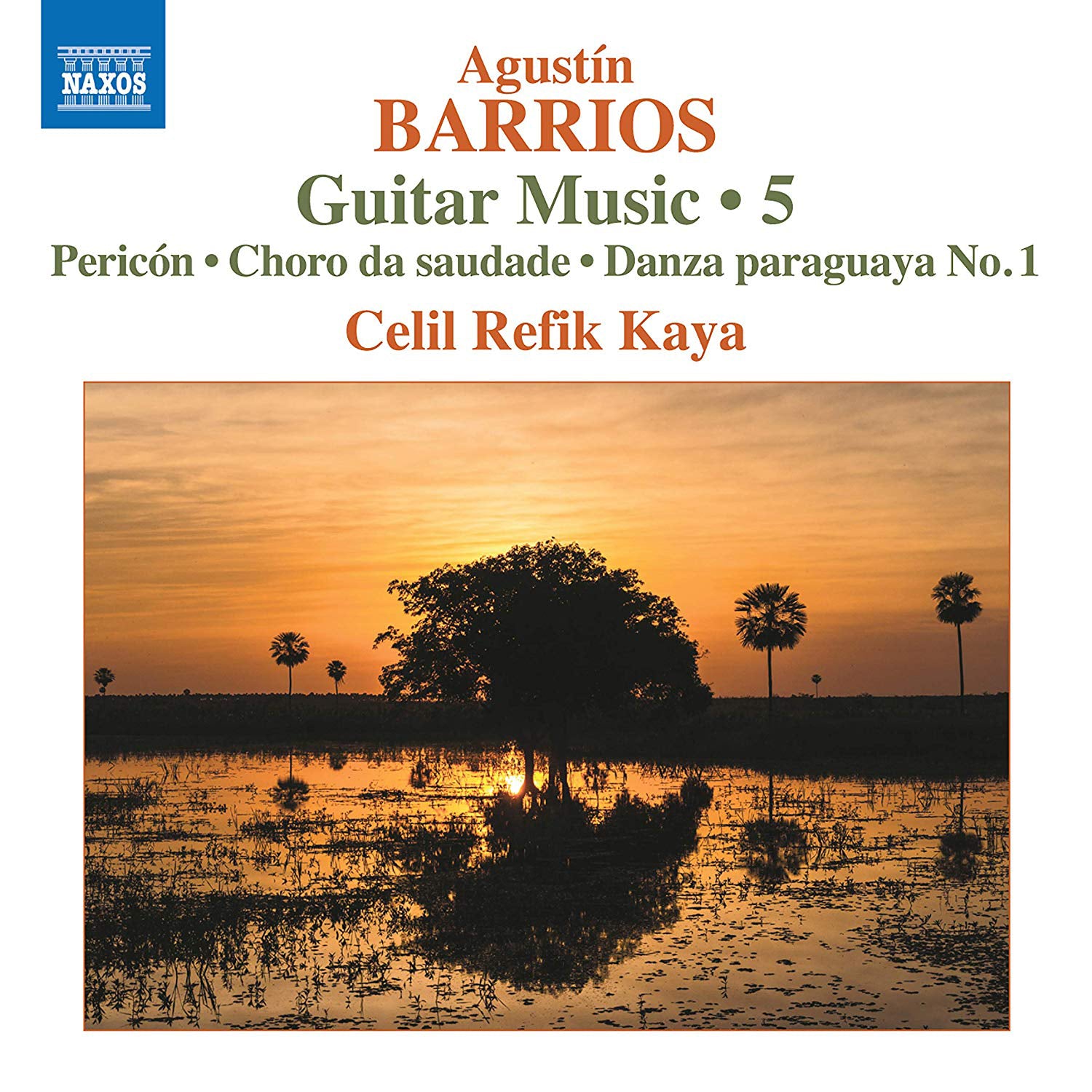 Agustín Barrios: Guitar Music/Pericón/Choro Da Saudade - Volume 5