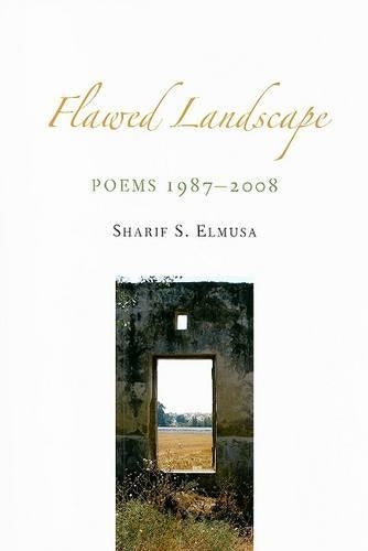 Flawed Landscape