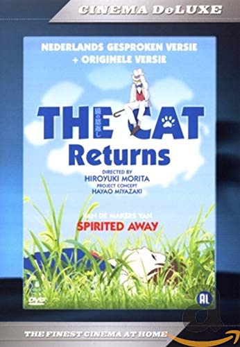 Cat returns