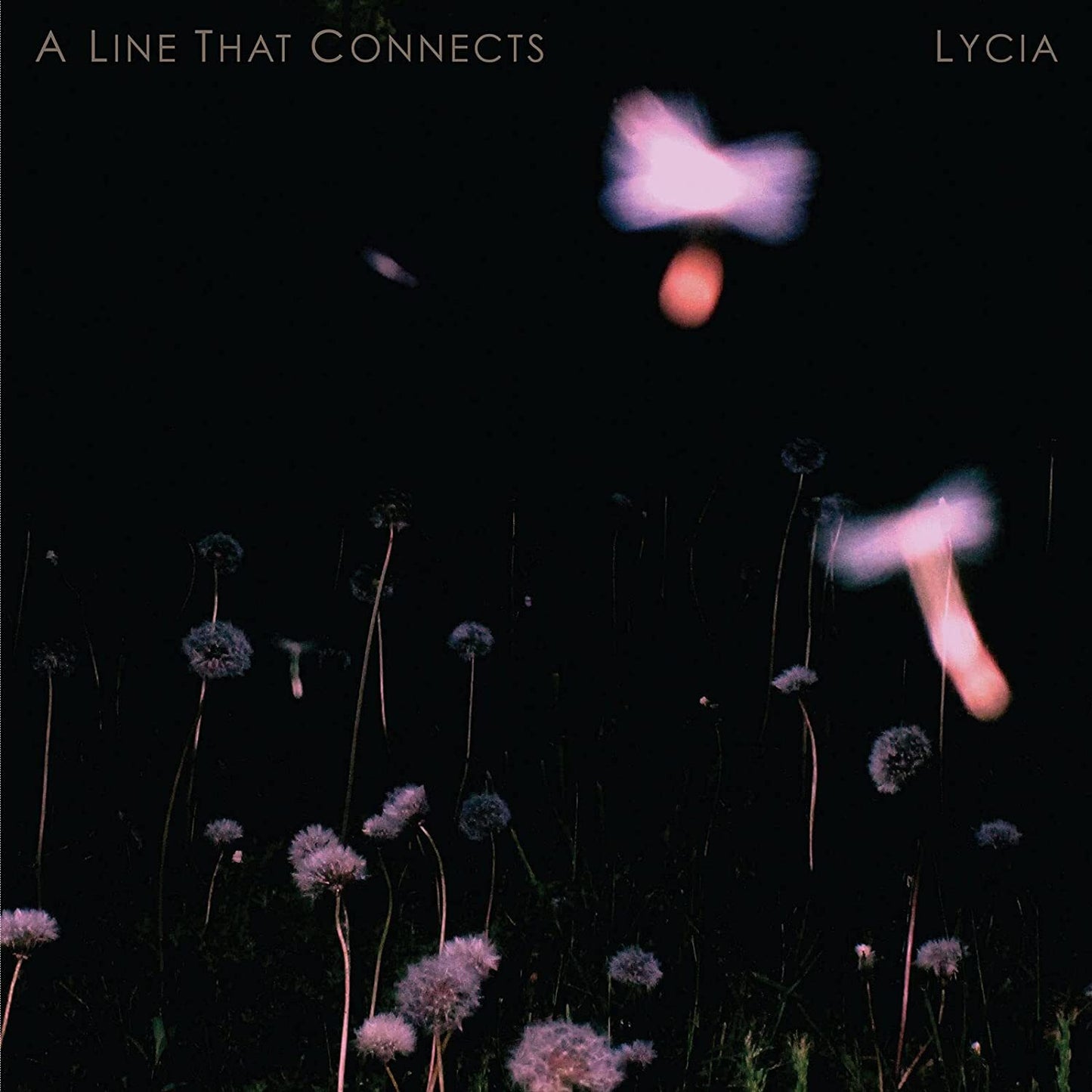 A Line That Connects