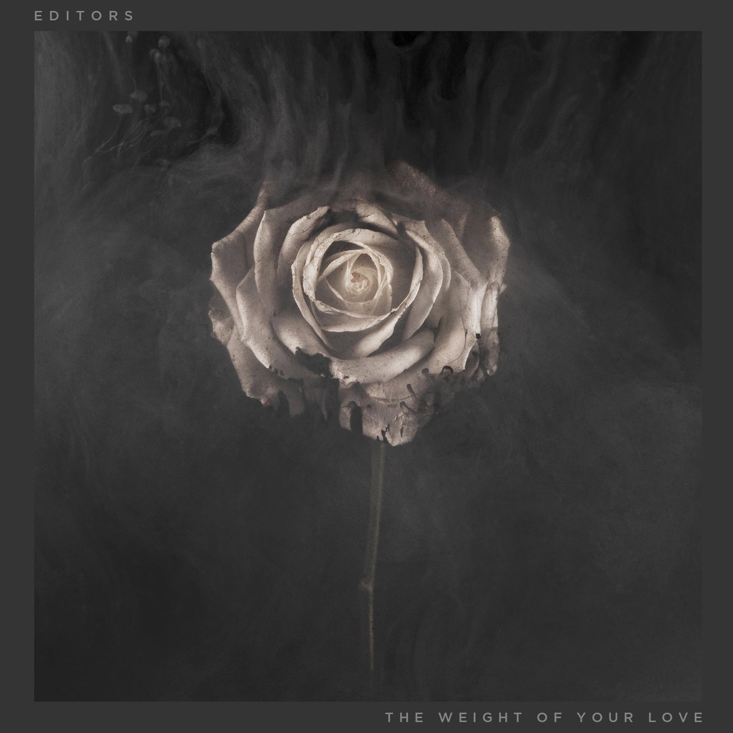 The Weight of Your Love