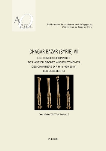 Chagar Bazar (Syrie) VII
