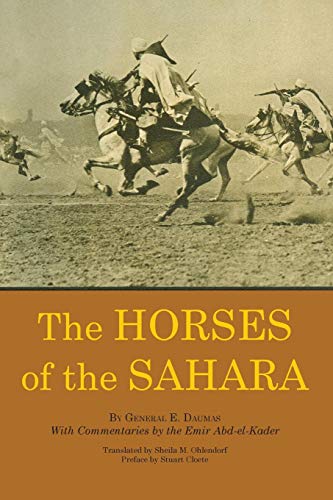 Horses Of The Sahara