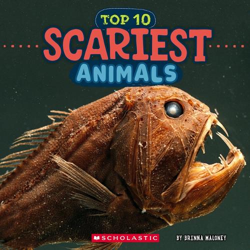 Top 10 Scariest Animals (Wild World